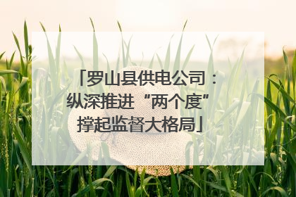 罗山县供电公司：纵深推进“两个度” 撑起监督大格局