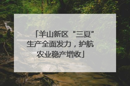 羊山新区“三夏”生产全面发力，护航农业稳产增收