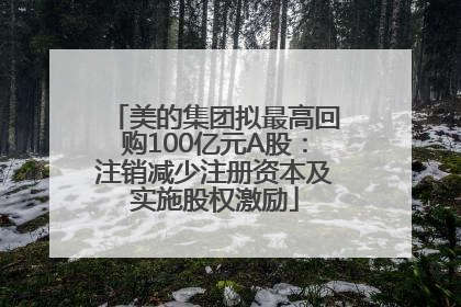 美的集团拟最高回购100亿元A股：注销减少注册资本及实施股权激励