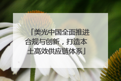 美光中国全面推进合规与创新，打造本土高效供应链体系