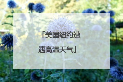 美国纽约遭遇高温天气