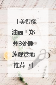 美得像油画！郑州3处睡莲观赏地推荐→