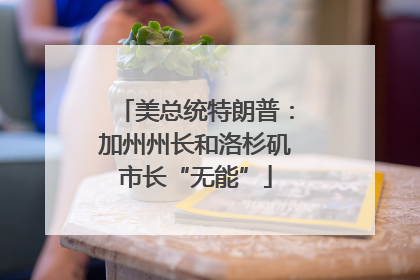 美总统特朗普：加州州长和洛杉矶市长“无能”