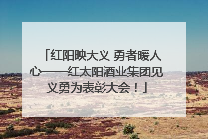 红阳映大义 勇者暖人心——红太阳酒业集团见义勇为表彰大会！