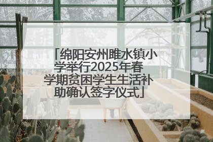 绵阳安州雎水镇小学举行2025年春学期贫困学生生活补助确认签字仪式