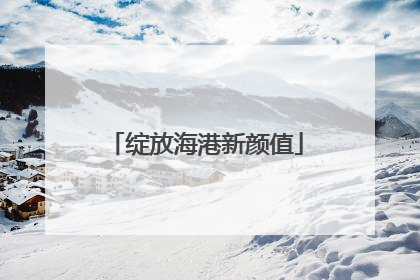 绽放海港新颜值