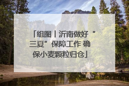 组图丨沂南做好“三夏”保障工作 确保小麦颗粒归仓