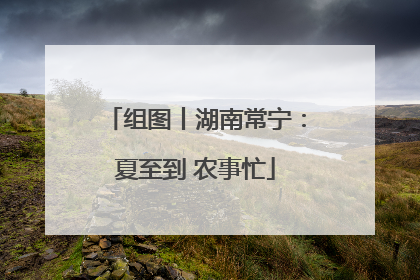 组图丨湖南常宁：夏至到 农事忙
