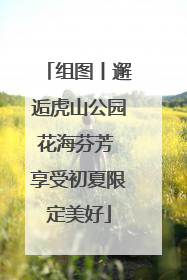 组图丨邂逅虎山公园花海芬芳 享受初夏限定美好