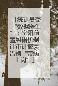 统计员变“数据医生”：宁阳前置纠错机制让审计报表告别“带病上岗”