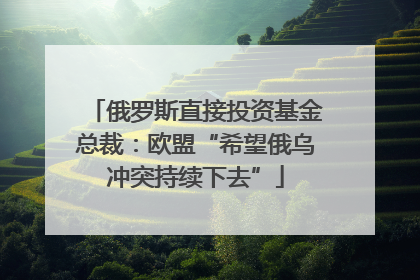 俄罗斯直接投资基金总裁：欧盟“希望俄乌冲突持续下去”