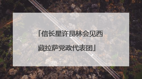 信长星许昆林会见西藏拉萨党政代表团