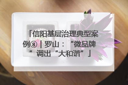信阳基层治理典型案例⑧｜罗山：“微品牌”调出“大和谐”