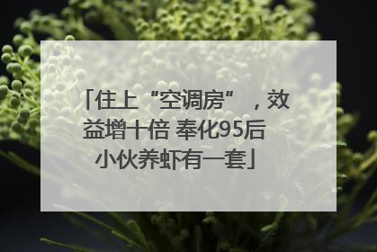 住上“空调房”，效益增十倍 奉化95后小伙养虾有一套