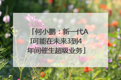 何小鹏：新一代AI可能在未来3到4年间催生超级业务