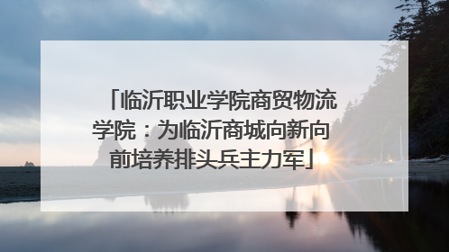 临沂职业学院商贸物流学院：为临沂商城向新向前培养排头兵主力军
