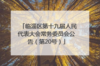 临淄区第十九届人民代表大会常务委员会公告（第20号）
