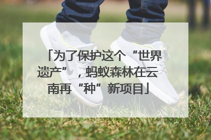为了保护这个“世界遗产”，蚂蚁森林在云南再“种”新项目
