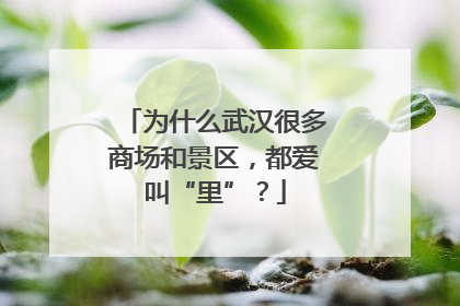 为什么武汉很多商场和景区，都爱叫“里”？