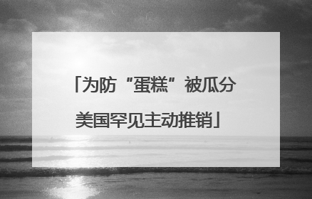 为防“蛋糕”被瓜分 美国罕见主动推销