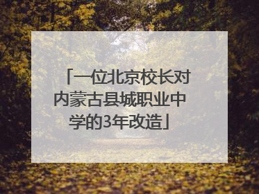 一位北京校长对内蒙古县城职业中学的3年改造