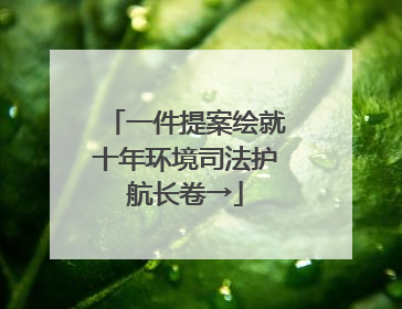 一件提案绘就十年环境司法护航长卷→