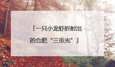 一只小龙虾折射出的合肥“三重光”