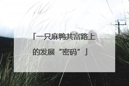 一只麻鸭共富路上的发展“密码”