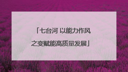 七台河 以能力作风之变赋能高质量发展