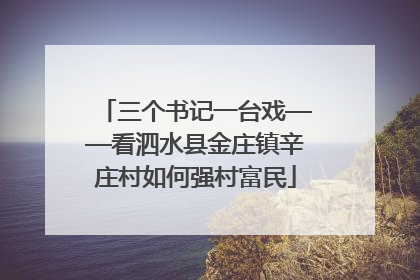 三个书记一台戏——看泗水县金庄镇辛庄村如何强村富民