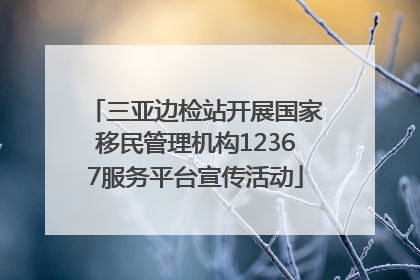 三亚边检站开展国家移民管理机构12367服务平台宣传活动