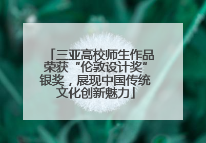 三亚高校师生作品荣获“伦敦设计奖”银奖，展现中国传统文化创新魅力