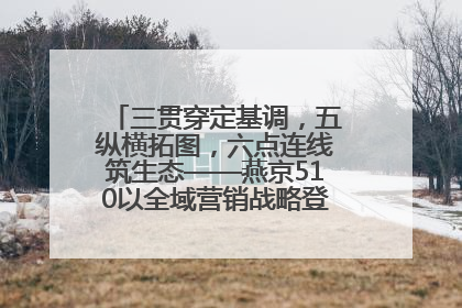 三贯穿定基调，五纵横拓图，六点连线筑生态——燕京510以全域营销战略登顶行业IP新高度