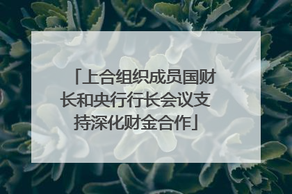 上合组织成员国财长和央行行长会议支持深化财金合作