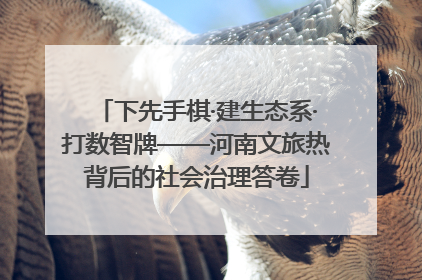 下先手棋·建生态系·打数智牌——河南文旅热背后的社会治理答卷