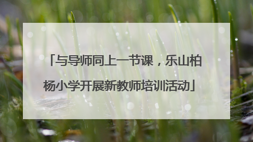 与导师同上一节课，乐山柏杨小学开展新教师培训活动