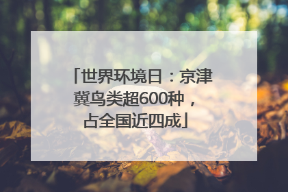 世界环境日：京津冀鸟类超600种，占全国近四成