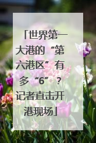 世界第一大港的“第六港区”有多“6”？记者直击开港现场