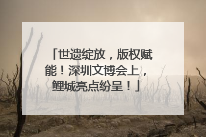 世遗绽放，版权赋能！深圳文博会上，鲤城亮点纷呈！