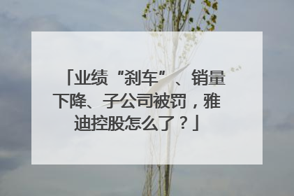业绩“刹车”、销量下降、子公司被罚，雅迪控股怎么了？