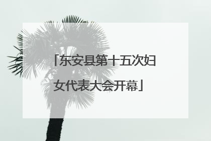 东安县第十五次妇女代表大会开幕