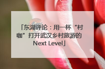 东湖评论：用一杯“村咖”打开武汉乡村旅游的Next Level