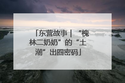 东营故事｜“槐林二奶奶”的“土潮”出圈密码