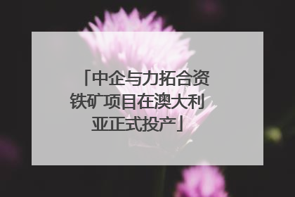 中企与力拓合资铁矿项目在澳大利亚正式投产