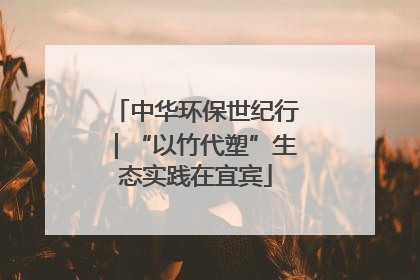 中华环保世纪行｜“以竹代塑”生态实践在宜宾