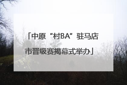 中原“村BA”驻马店市晋级赛揭幕式举办