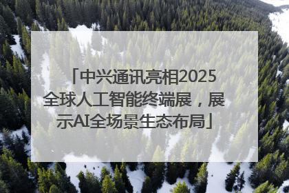 中兴通讯亮相2025全球人工智能终端展，展示AI全场景生态布局