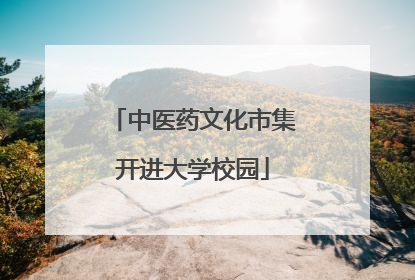 中医药文化市集开进大学校园