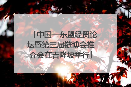 中国—东盟经贸论坛暨第三届链博会推介会在吉隆坡举行