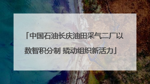 中国石油长庆油田采气二厂以数智积分制 撬动组织新活力